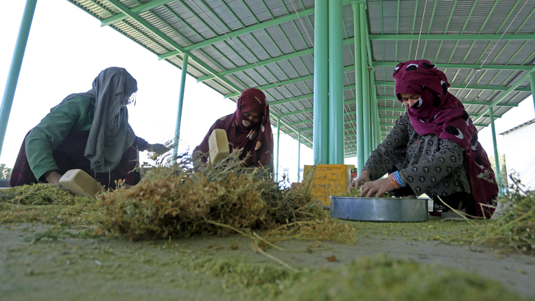 Women doing agriculture research work