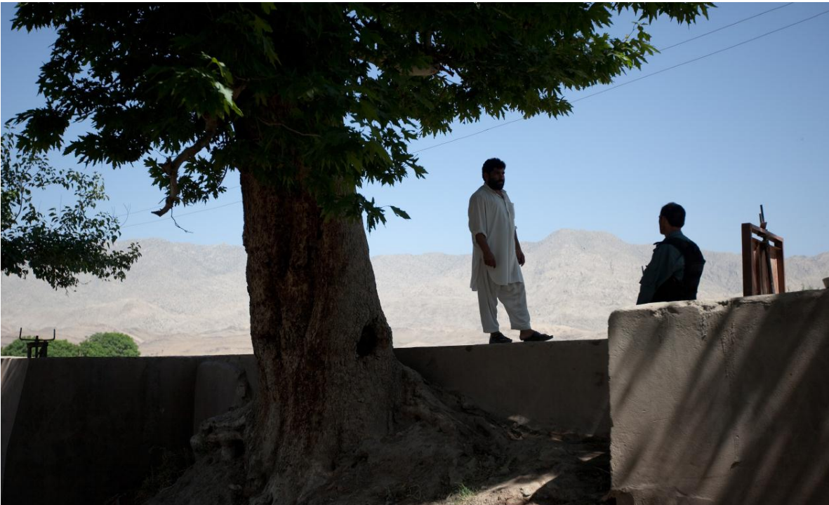 Group of men under a tree