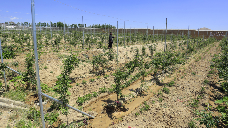 Farm near Kabul, Afghanistan