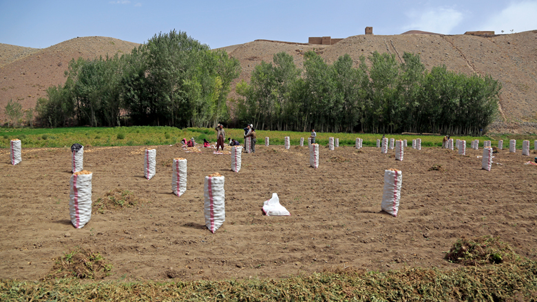 Bamyan Irrigation project