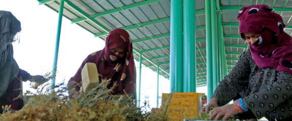 Women working