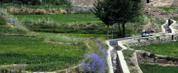 irrigation canal. Photo: World Bank