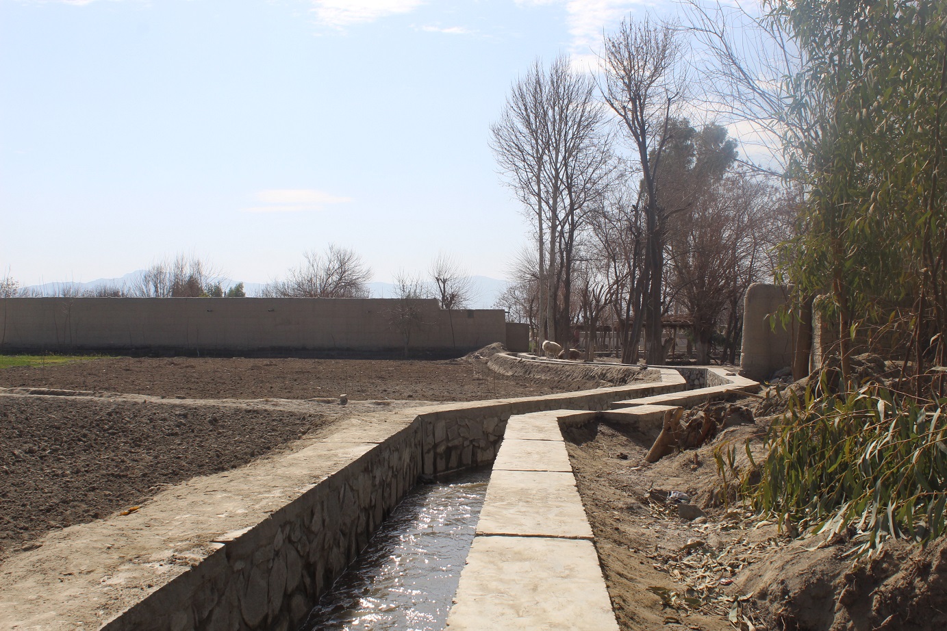 View of the irrigation canal rehabilitated with support from CASA-CSP project Qala-e-Malik village of Laghman province.